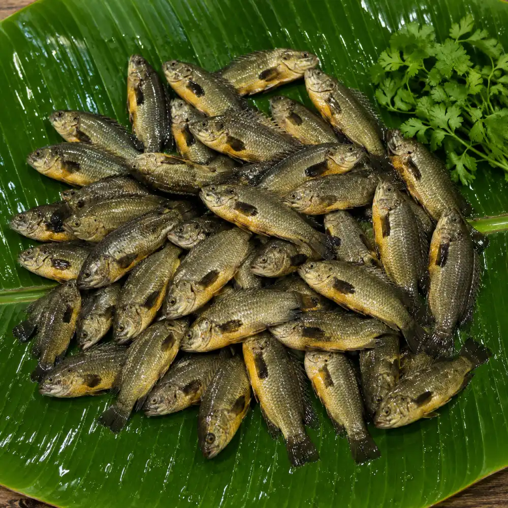 Premium Deshi Koi Fish (Fresh Koi Machh) - whole cleaned 1