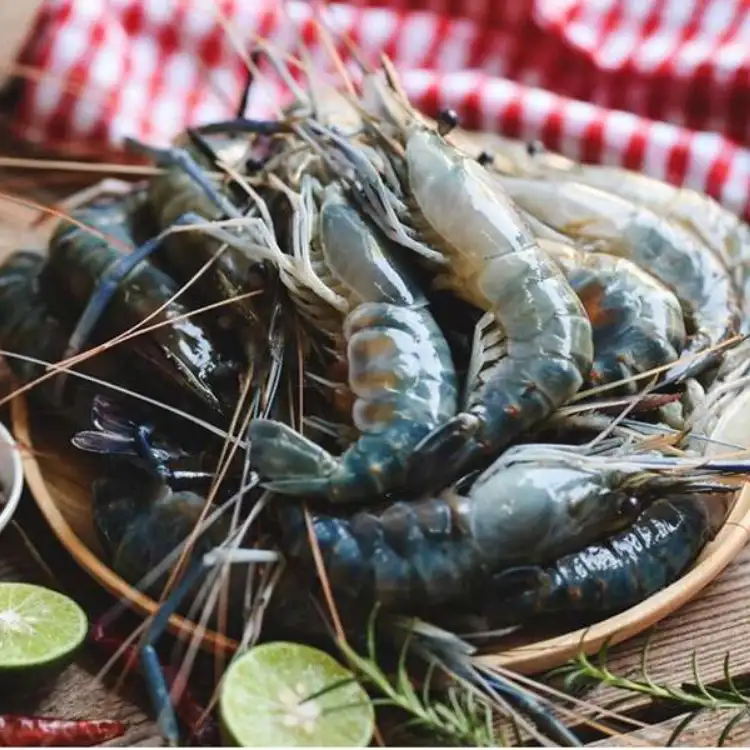 Prawns