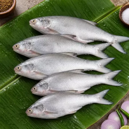 gurjali fish