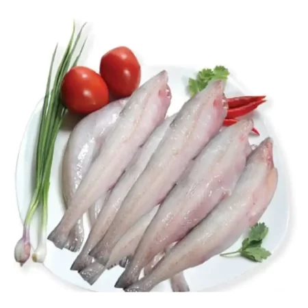 Premium Lotia Fish (Bombay Duck)