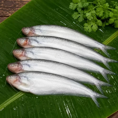 Premium Fresh Pabda Fish (Deshi Pabda Machh)