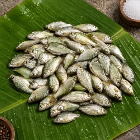 puti fish