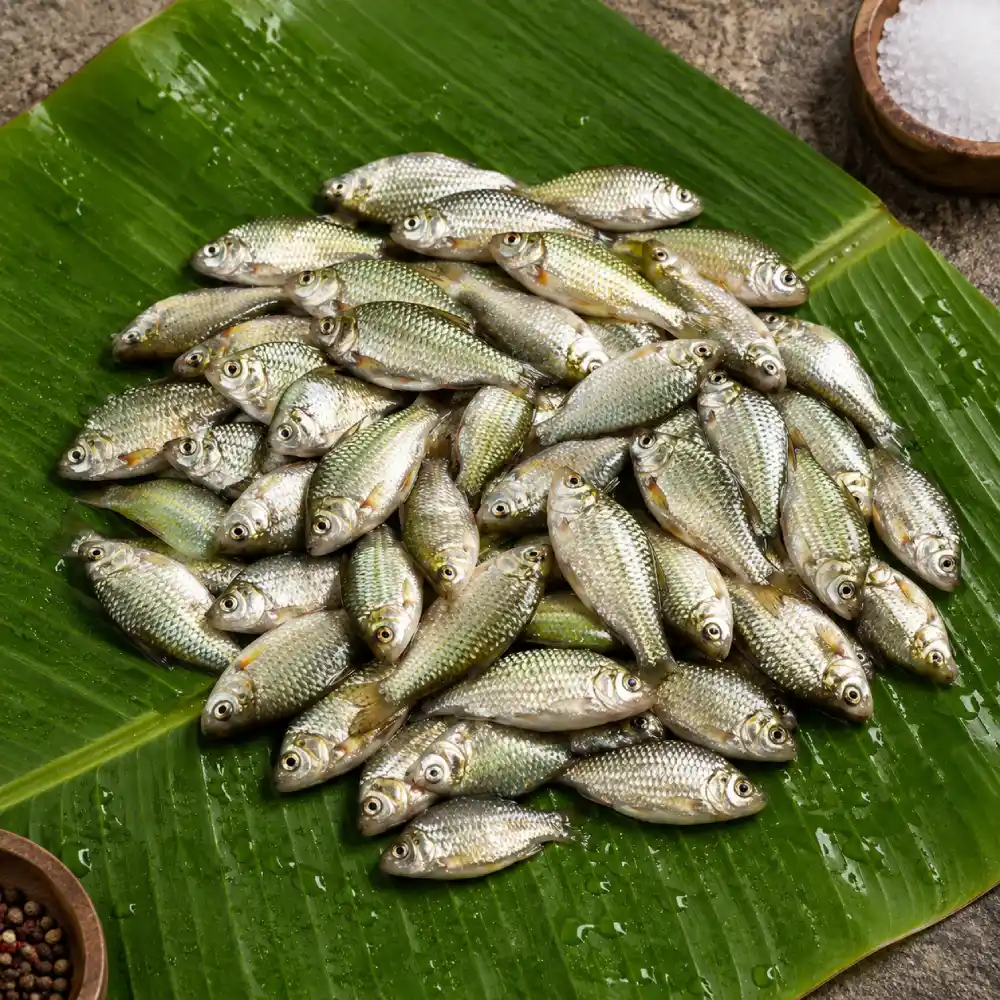 Premium Fresh Deshi Puti Fish (Deshi Puti Machh) 1