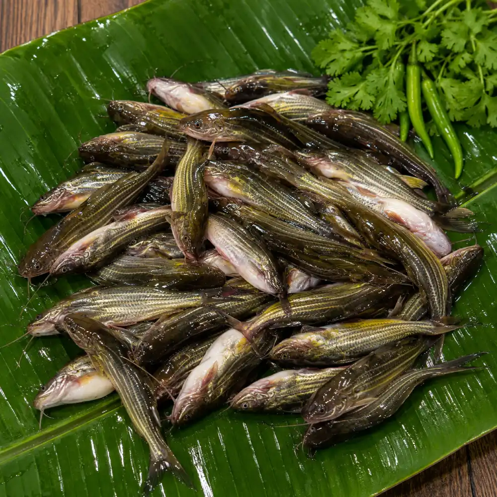Premium Fresh Tangra Fish (Deshi Tangra Machh) 1