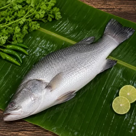 Premium Deshi Vetki Fish (Fresh Bhetki Machh)